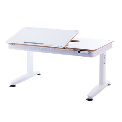 E6-120S Electric Ergonomic Desk